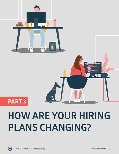 2021年Sidecar电子商务营销报告 电子产品销售趋势与策略解析